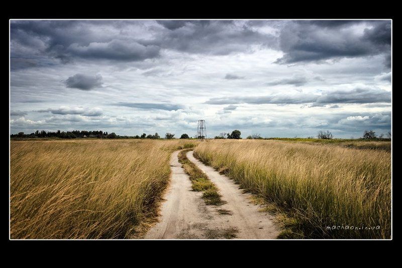 первые дни осениphoto preview