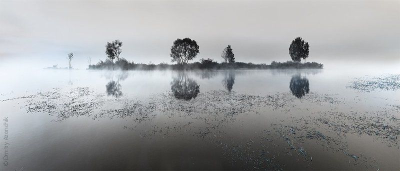 memories...photo preview