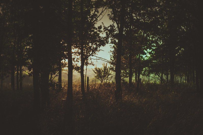 night magicphoto preview