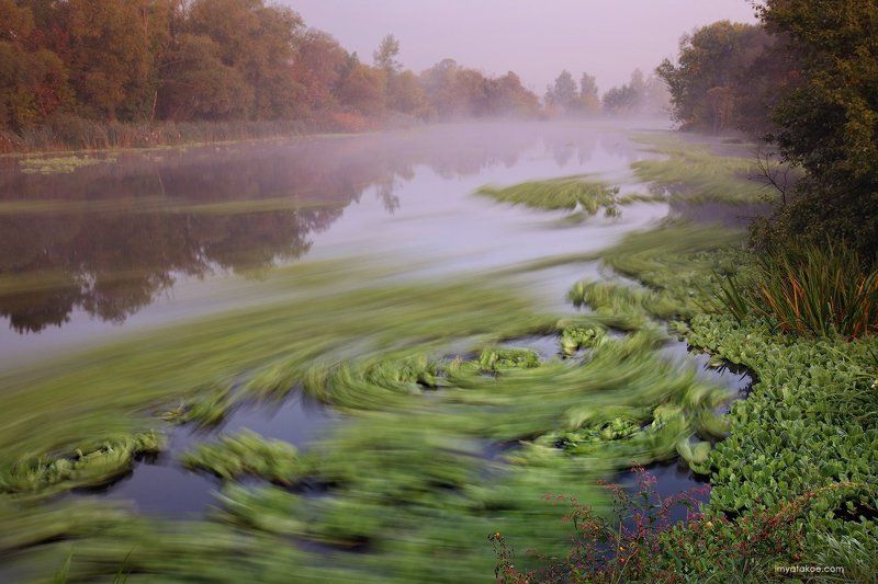 пистия, северский донец 20 секунд рекиphoto preview