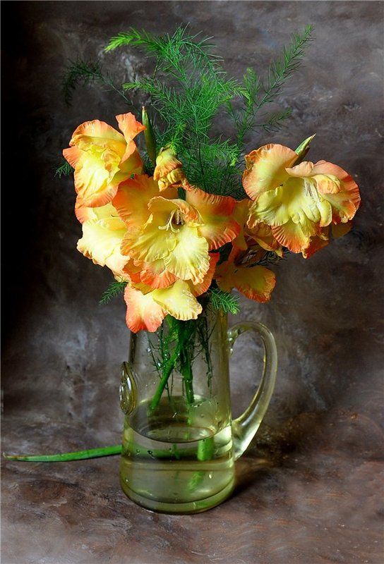 Гладиолусыphoto preview