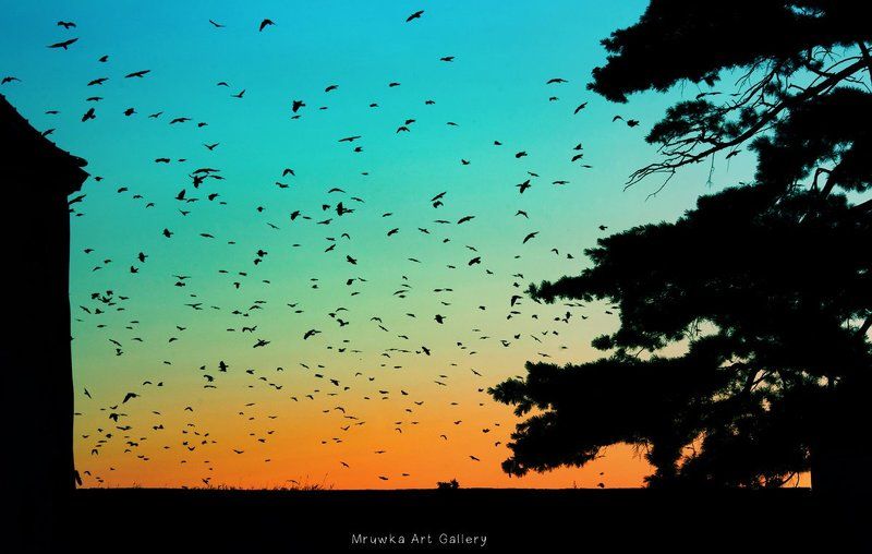 sky фото превью