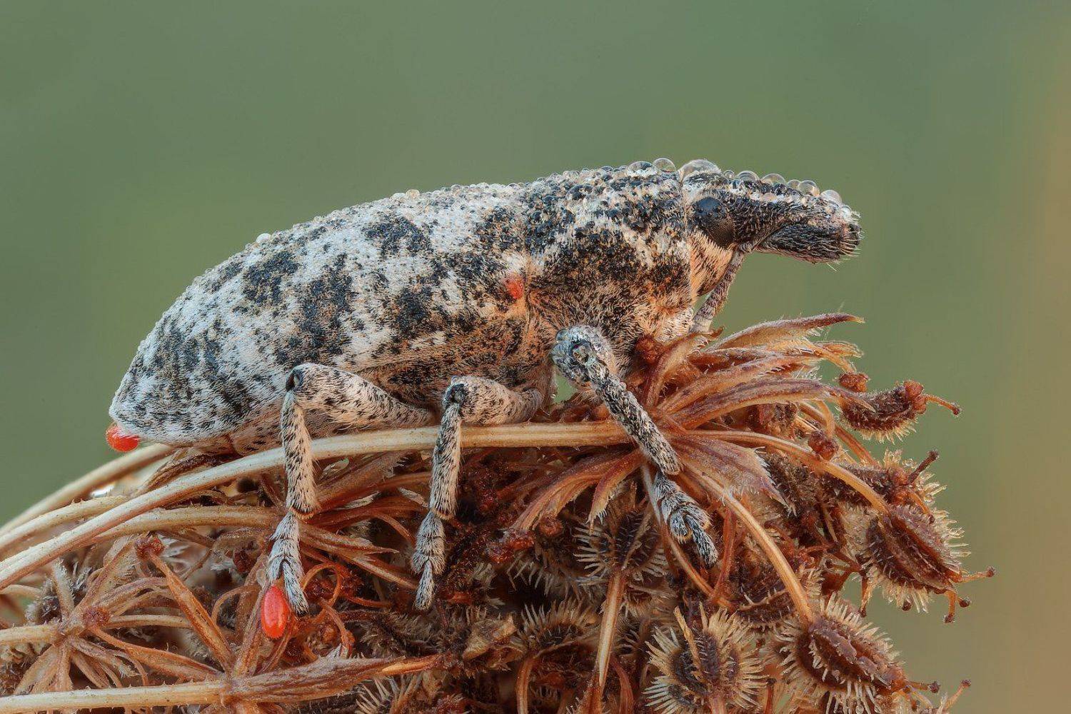 После душа.. Автор: Вадим Ходаковский , Вадим Ходаковский