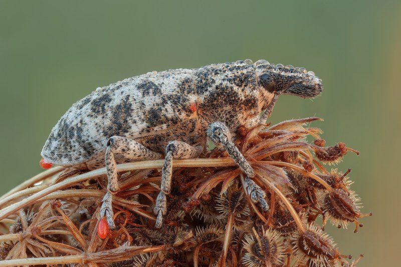 После душа.photo preview