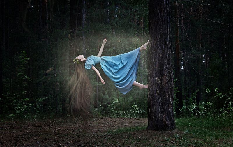 Сказочный лесphoto preview