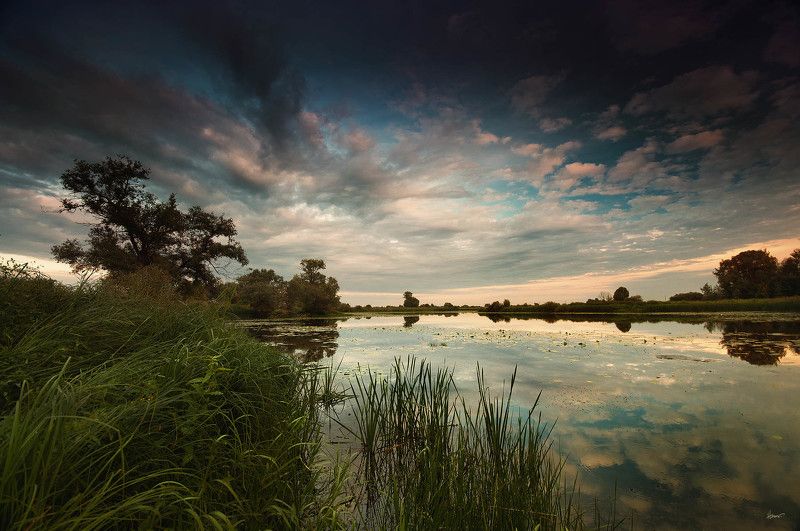 autumn is coming soon.... фото превью