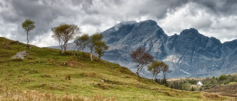 возвращение уставших березphoto preview