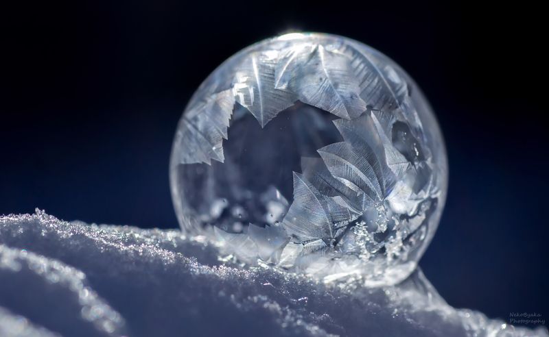 макро, природа, мыльные пузыри, лед, зима, снег, macro, nature, soap bubbles, ice, winter, snow, frozzenbubbles ***photo preview