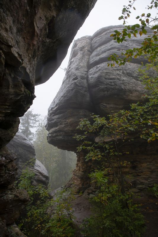 Пермский Скифphoto preview