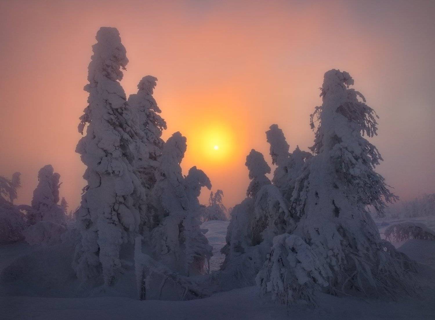 Встретить рассвет.... Автор: Сергей Макурин урал, зима, гух, рассвет, Сергей Макурин
