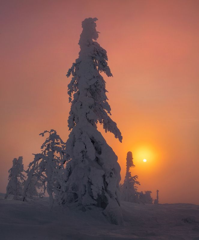 урал, зима, рассвет, мороз, утро, свет Встретить рассвет...photo preview