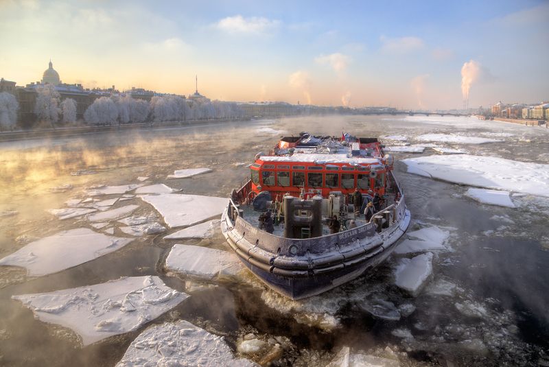 Маленький, но гордый)photo preview