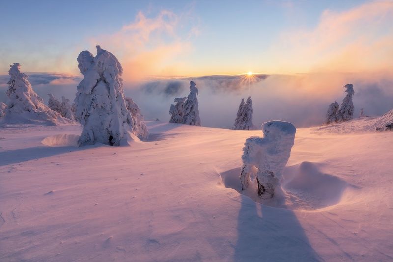 landscape, tree, panorama, fog Frosty Sunrisephoto preview