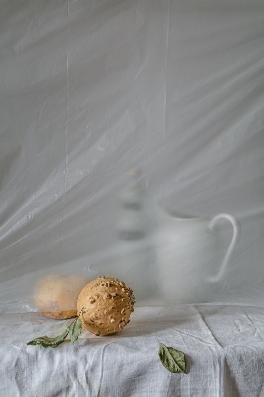 натюрморт, фарфор, кувшин, тыква Тыковки и кувшинphoto preview