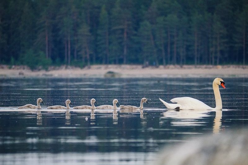 В рядphoto preview