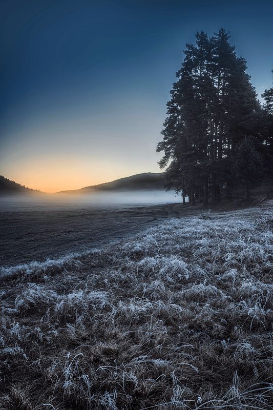 #landscape#nature#winter Warm glow sunrisephoto preview