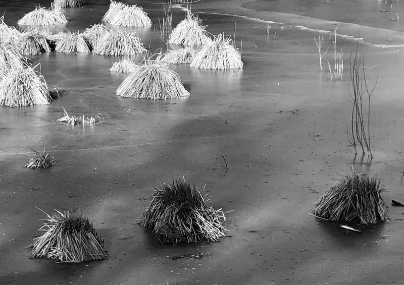 “Lake...Winter...”photo preview