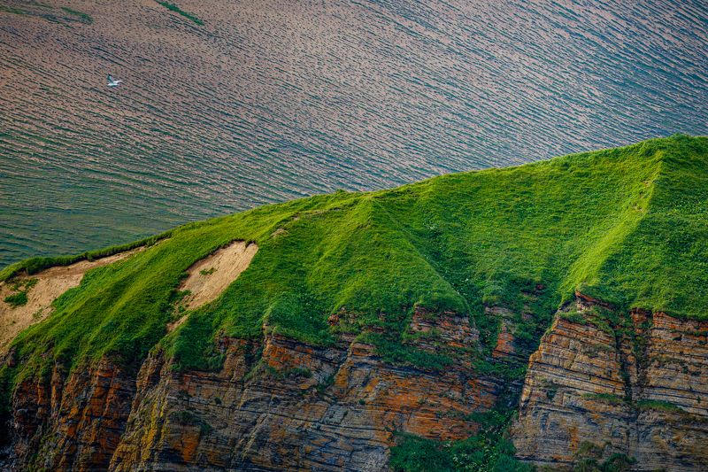 Командоры Командорыphoto preview