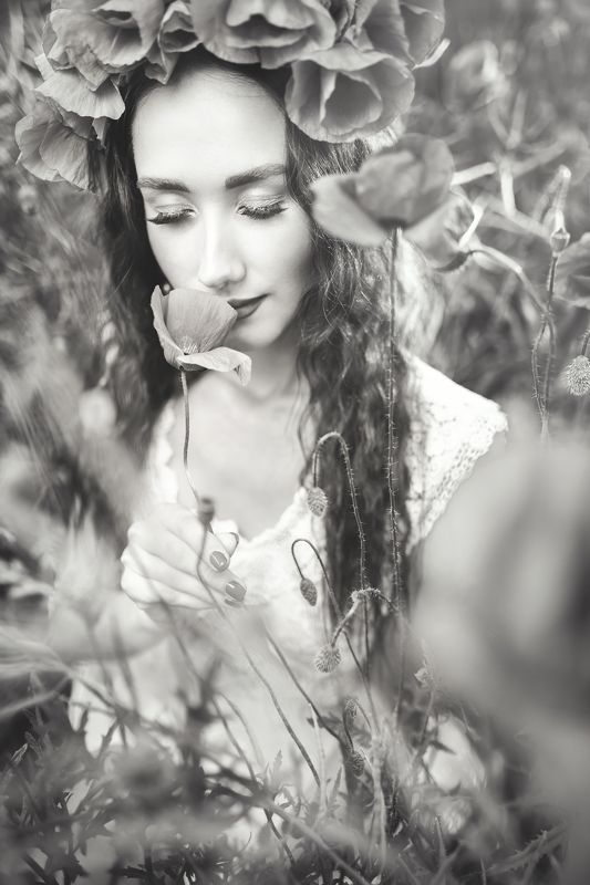 Маки ЧБphoto preview