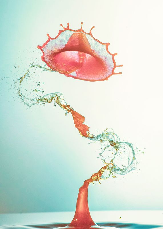 abstract,photography,windy,waterdrop,liquid,art windy dropsphoto preview