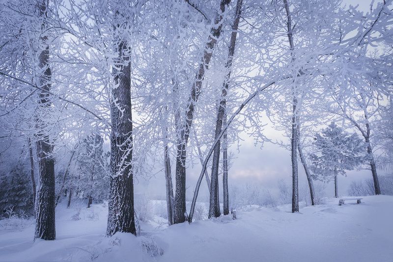 зима, сибирь, мороз, красноярский край Камерная зимаphoto preview