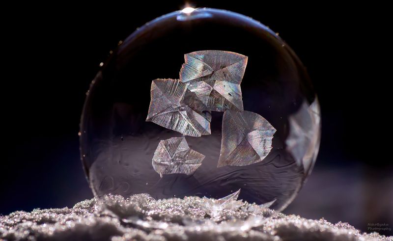 макро, природа, мыльные пузыри, лед, зима, снег, macro, nature, soap bubbles, ice, winter, snow, frozzenbubbles ***photo preview
