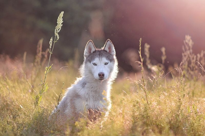 Доброе утроphoto preview