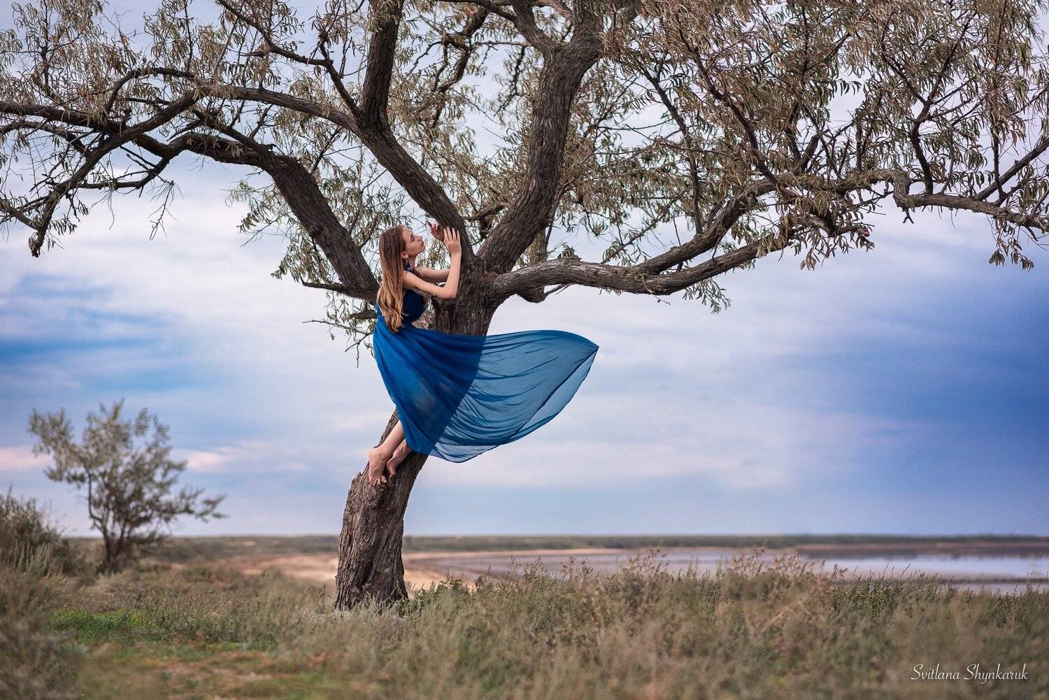 Consolation. Автор: Светлана Шинкарук beauty, emotion, portrait, tree, art, idea, ukraine, consolation, Светлана Шинкарук