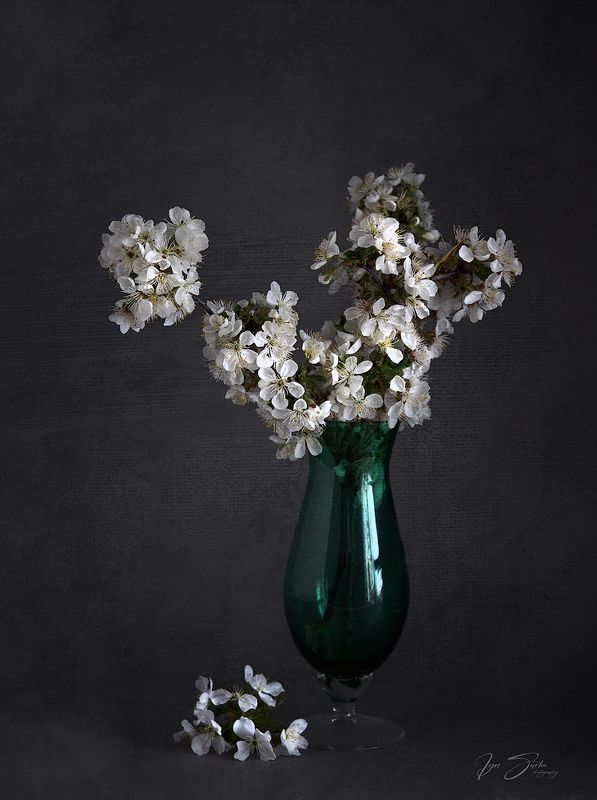 With the smell of springphoto preview