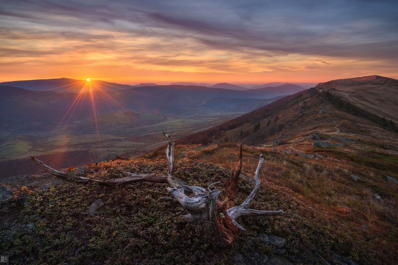 Uranus235, nightphotoua, пейзаж, закат,  горы, Карпаты, перевал, Русский путь, Вододельный, хребет, облака, солнце, камни, лес, бук, ветка, коряга, трава, долина, путешествие, природа, осень Бабье лето на перевалеphoto preview