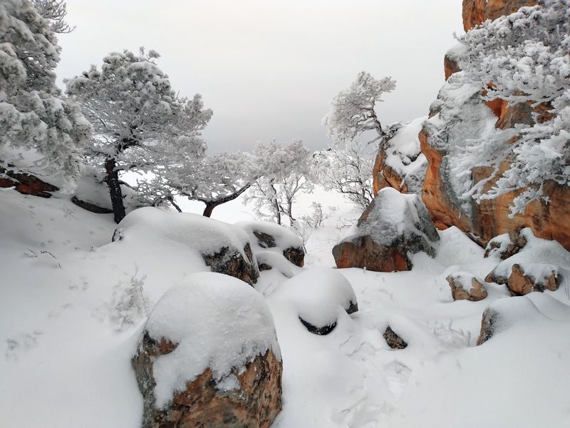 Зимний пейзаж..photo preview