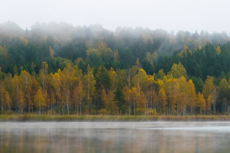 озеро изборск мальская псков природа туман вода осень оз.Мальскоеphoto preview