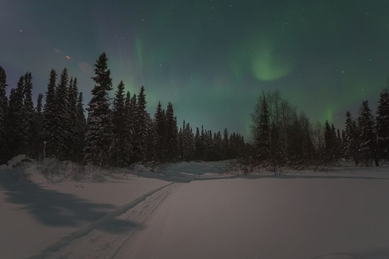 печора,коми,полярное сияние Лесная тропаphoto preview