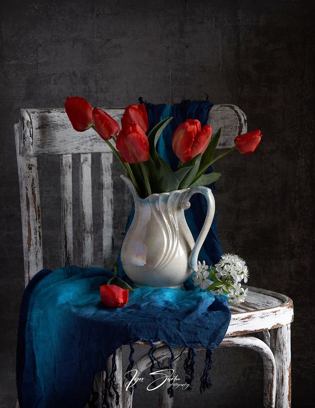 Red & bluephoto preview