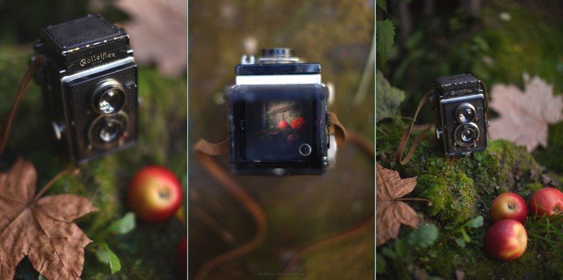 Aple, Autumn, Barocco, Car, Door, Dust, Ethno, Fall, Maple, Old, Oldschool, Rolleflex, September fallphoto preview