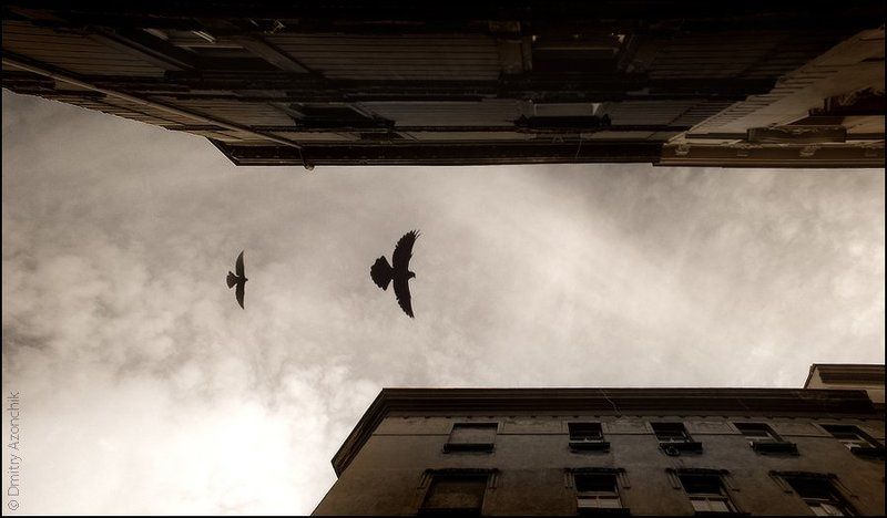 memories...photo preview