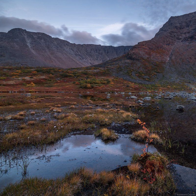 Осенний этюдphoto preview