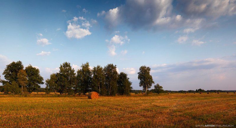 Поле после жатвыphoto preview