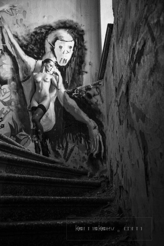 Obediencephoto preview