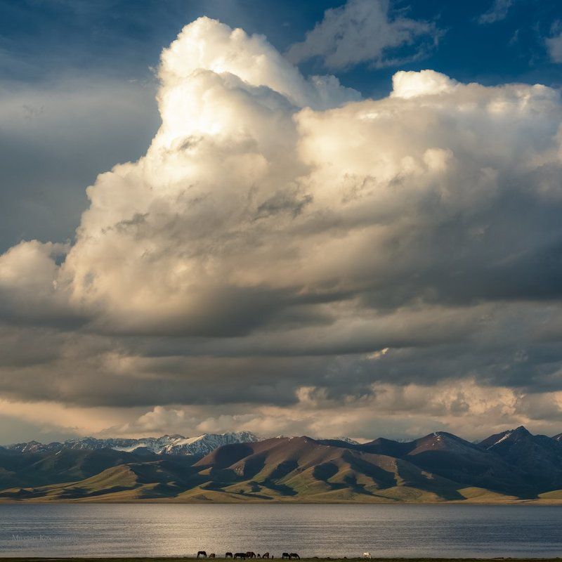 Пропорцииphoto preview