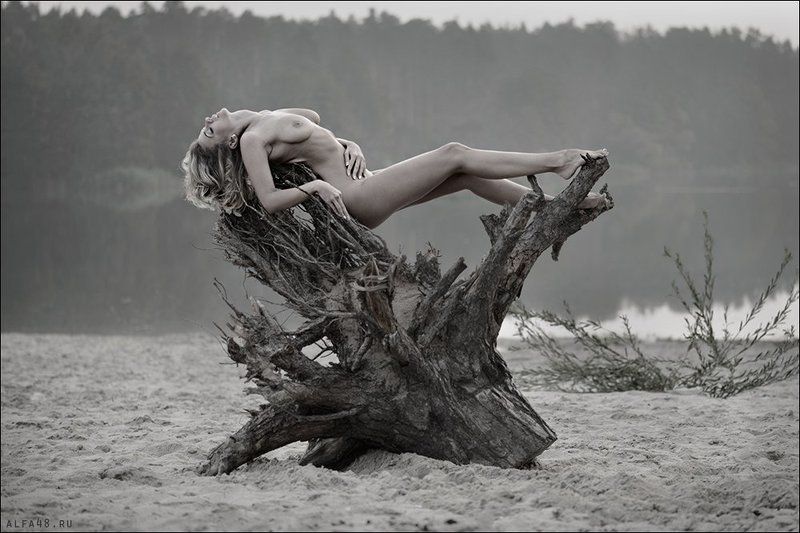 Корень проблемphoto preview