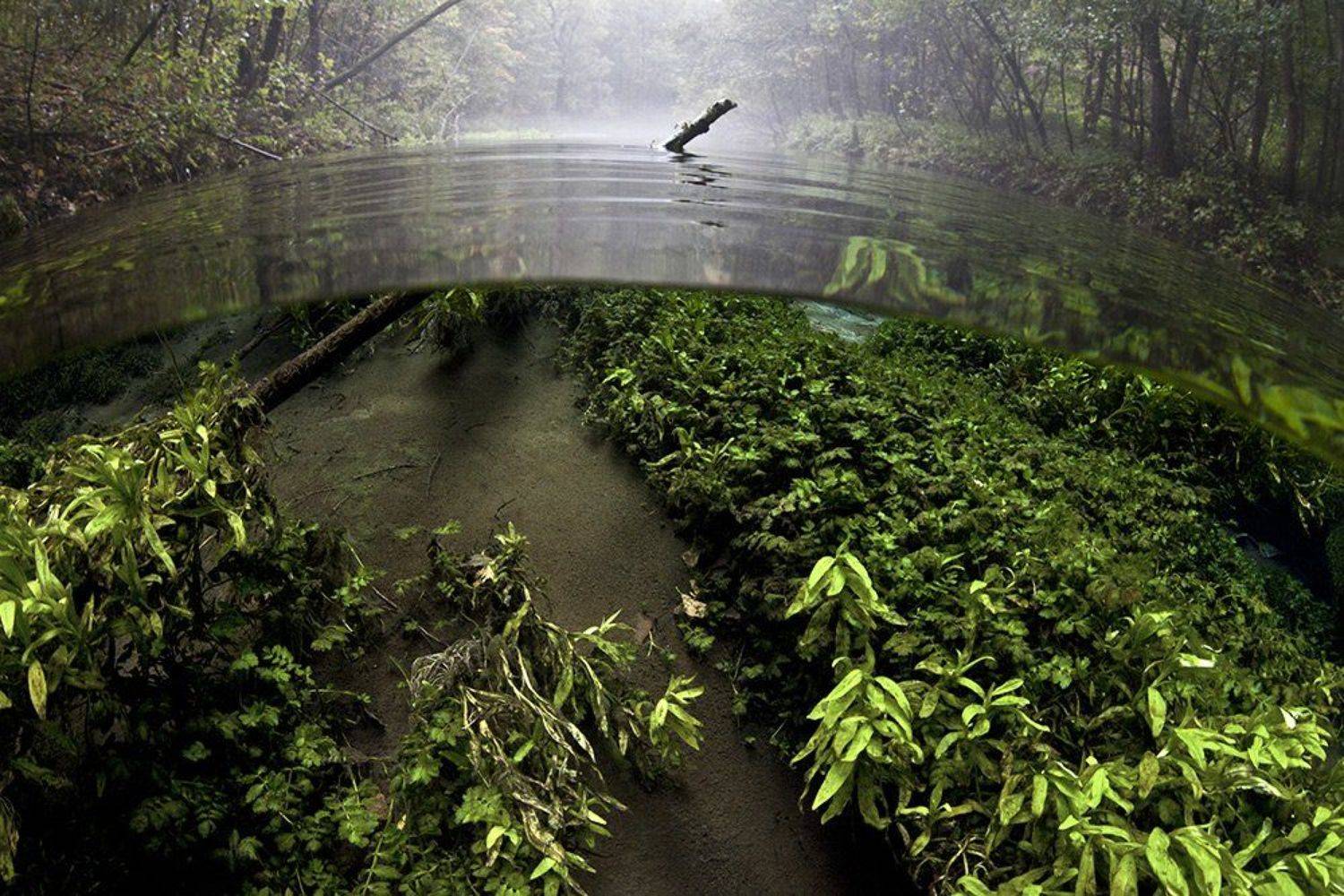 , Эдуард VTORNIK  Николаев