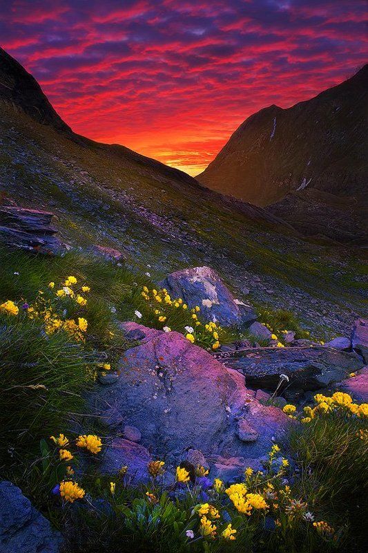 Чудесный свет фото превью