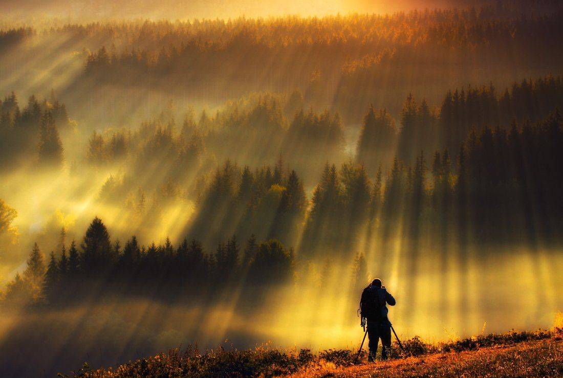 Misty Morning, Robert, Uchorczak Pawel, Pawel Uchorczak