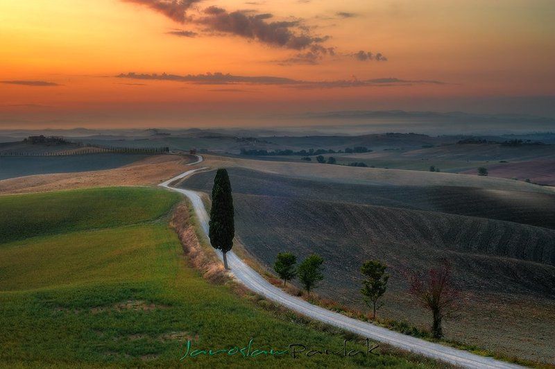 On the Wayphoto preview