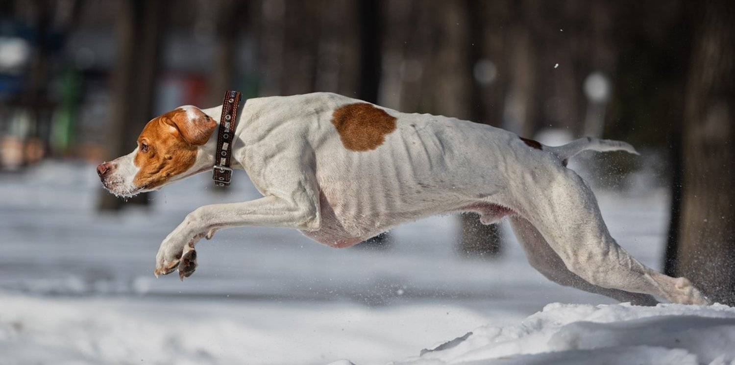 ***. Автор: aes , aes