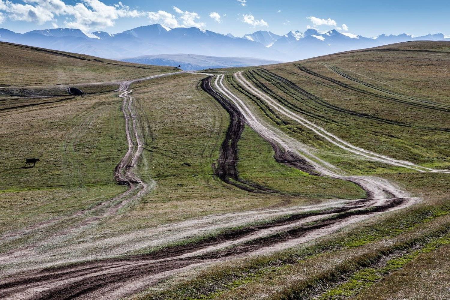 , Сергей Теректі