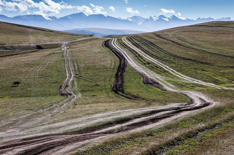 12-ти полосная трассаphoto preview