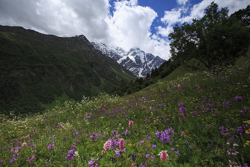 Цветущие горы Кавказаphoto preview