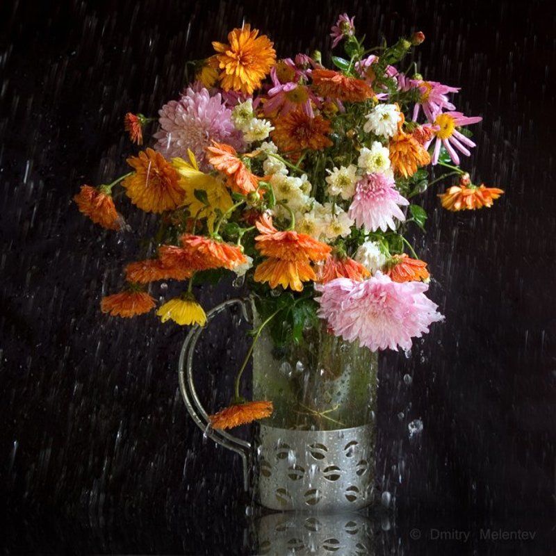 Сентябрь | Septemberphoto preview